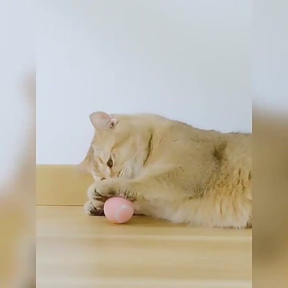 🐾 Diversión que Persigue 🧶 | Pelota Inteligente con Cola😺